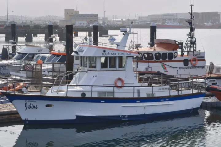 White maritime tour boat docked in a harbor with other boats.