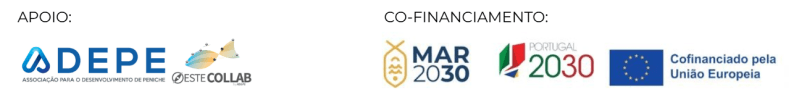 Logos of ADEPE, Centro CollAB, and EU funding partners.